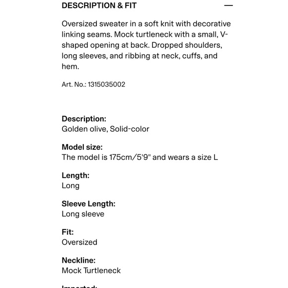 H&M Olive Mock Turtleneck Sweater - Picture 3 of 7